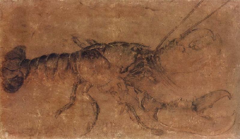 Albrecht Durer A Lobster Germany oil painting art